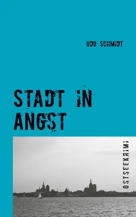 Schmidt |  Stadt in Angst | eBook | Sack Fachmedien