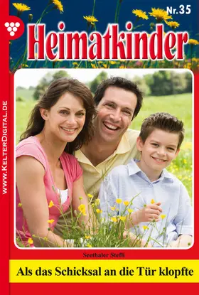 Seethaler |  Als das Schicksal an die Tür klopfte | eBook | Sack Fachmedien