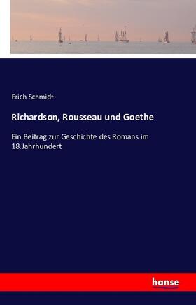 Schmidt |  Richardson, Rousseau und Goethe | Buch |  Sack Fachmedien