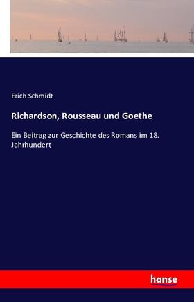 Schmidt |  Richardson, Rousseau und Goethe | Buch |  Sack Fachmedien