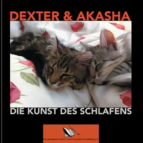 Gundlach |  Die Kunst des Schlafens | eBook | Sack Fachmedien
