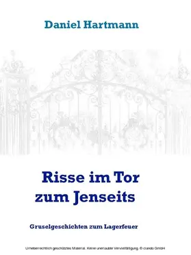 Hartmann |  Risse im Tor zum Jenseits | eBook | Sack Fachmedien