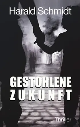 Schmidt |  Gestohlene Zukunft | Buch |  Sack Fachmedien