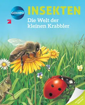 Beaumont |  Galileo Wissen: Insekten | Buch |  Sack Fachmedien