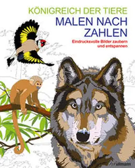 Olbey / Sanders |  Malen und entspannen: Malen nach Zahlen - Königreich der Tiere | Buch |  Sack Fachmedien