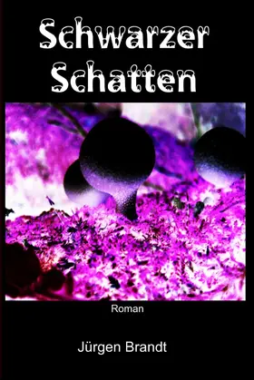 Brandt |  Schwarzer Schatten | eBook | Sack Fachmedien