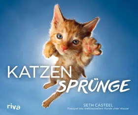 Casteel |  Katzensprünge | Buch |  Sack Fachmedien