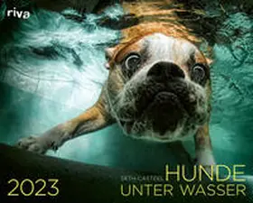 Casteel |  Hunde unter Wasser 2023 | Sonstiges |  Sack Fachmedien