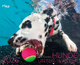 Casteel |  Hunde unter Wasser 2025 | Sonstiges |  Sack Fachmedien
