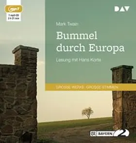 Twain |  Bummel durch Europa | Sonstiges |  Sack Fachmedien