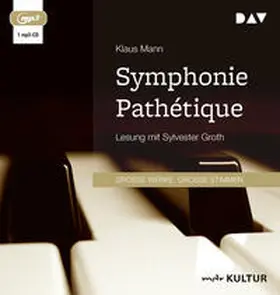 Mann |  Symphonie Pathétique. Ein Tschaikowsky-Roman | Sonstiges |  Sack Fachmedien