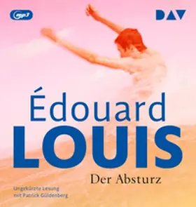 Louis |  Der Absturz | Sonstiges |  Sack Fachmedien