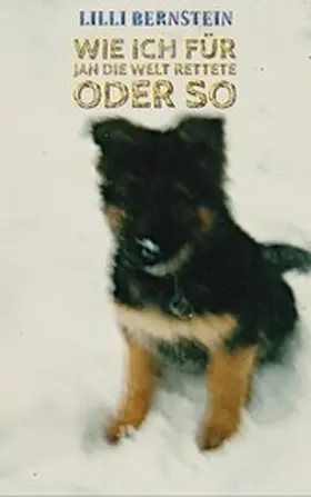 Fieseler |  Wie ich für Jan die Welt rettete oder so | eBook | Sack Fachmedien