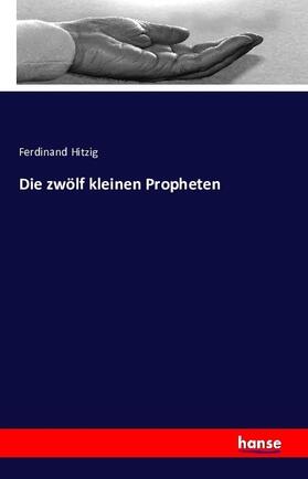 Hitzig |  Die zwölf kleinen Propheten | Buch |  Sack Fachmedien
