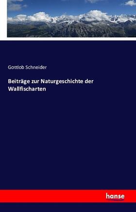 Schneider |  Beiträge zur Naturgeschichte der Wallfischarten | Buch |  Sack Fachmedien