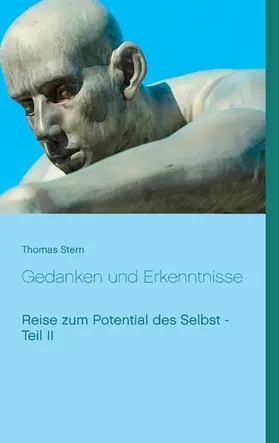 Stern |  Gedanken und Erkenntnisse | eBook | Sack Fachmedien