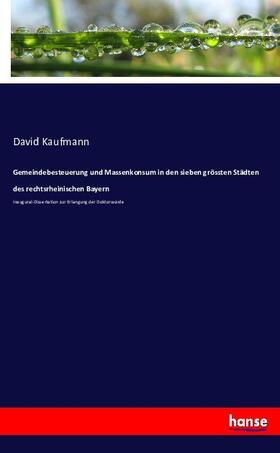 Kaufmann |  Gemeindebesteuerung und Massenkonsum in den sieben grössten Städten des rechtsrheinischen Bayern | Buch |  Sack Fachmedien