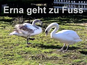 Bausch |  Erna geht zu Fuss | eBook | Sack Fachmedien