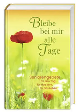 Bauch |  Bleibe bei mir alle Tage | Buch |  Sack Fachmedien