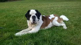 Winter |  Von Cäsar bis Zeus | eBook | Sack Fachmedien