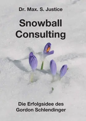Justice |  Snowball Consulting | Buch |  Sack Fachmedien