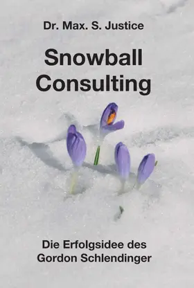 Justice |  Snowball Consulting | Buch |  Sack Fachmedien