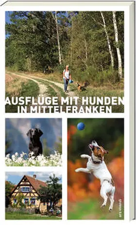 Arenz / Schwarm |  Ausflüge mit Hunden in Mittelfranken | Buch |  Sack Fachmedien