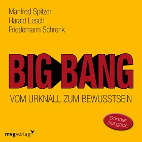 Spitzer / Lesch / Schrenk |  Big Bang: Vom Urknall zum Bewusstsein | Sonstiges |  Sack Fachmedien