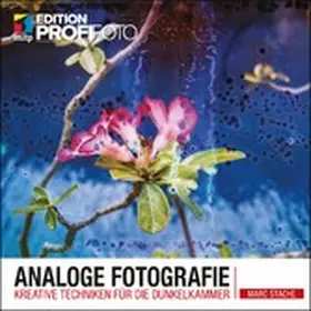 Stache |  Analoge Fotografie | eBook | Sack Fachmedien
