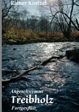 Kintzel |  Angeschwemmt - Treibholz | Buch |  Sack Fachmedien