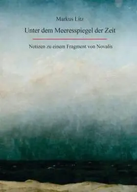 Litz |  Unter dem Meeresspiegel der Zeit | Buch |  Sack Fachmedien