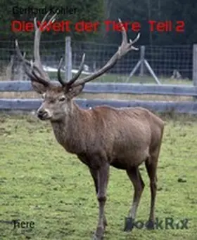 Köhler |  Die Welt der Tiere  Teil 2 | eBook | Sack Fachmedien