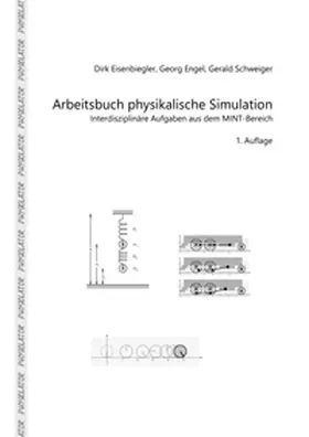 Eisenbiegler / Engel / Schweiger |  Arbeitsbuch physikalische Simulation | Buch |  Sack Fachmedien