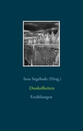 Segebade |  Dunkelheiten | Buch |  Sack Fachmedien