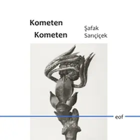 Saricicek |  Kometen Kometen | Buch |  Sack Fachmedien