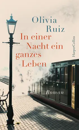 Ruiz |  In einer Nacht ein ganzes Leben | Buch |  Sack Fachmedien