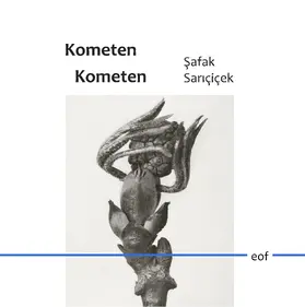 Saricicek |  Kometen Kometen | eBook | Sack Fachmedien