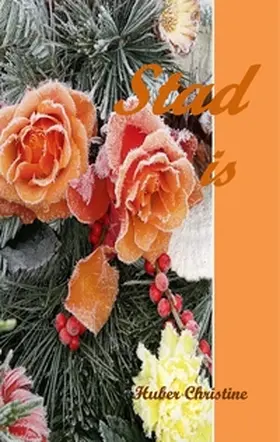 Huber / Hiebner, geb. Huber / Hiebner |  Stad is | Buch |  Sack Fachmedien