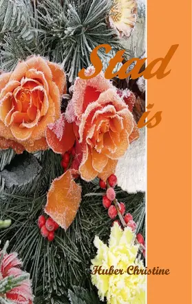 Huber / Hiebner / Müllner |  Stad is | eBook | Sack Fachmedien