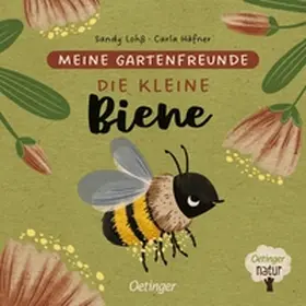 Häfner |  Meine Gartenfreunde. Die kleine Biene | Buch |  Sack Fachmedien