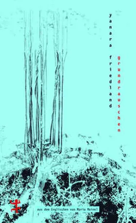 Friedland |  Grundrauschen | Buch |  Sack Fachmedien