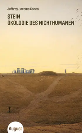 Cohen |  Stein | Buch |  Sack Fachmedien