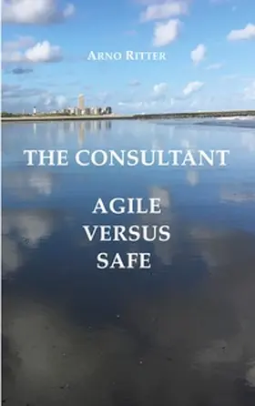 Ritter |  The Consultant | Buch |  Sack Fachmedien