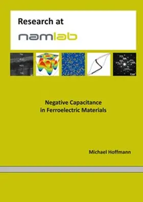 Hoffmann |  Negative Capacitance in Ferroelectric Materials | Buch |  Sack Fachmedien