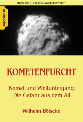 Bölsche / Sedlacek |  Kometenfurcht | eBook | Sack Fachmedien