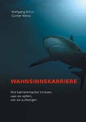 Schur / Weick |  Wahnsinnskarriere | Buch |  Sack Fachmedien