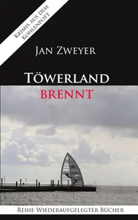 Zweyer | Töwerland brennt | Buch | 978-3-7526-4131-8 | www2.sack.de
