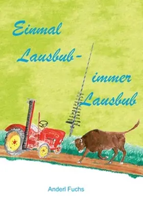 Fuchs |  Einmal Lausbub - immer Lausbub | Buch |  Sack Fachmedien