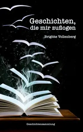 Vollenberg |  Geschichten, die mir zuflogen | Buch |  Sack Fachmedien