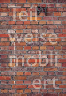 Martin |  Teilweise möbliert, exzellente Aussicht. Ortsspezifische Kunst für Haus Lange | Buch |  Sack Fachmedien